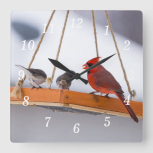Cardinal and Juncos Wall Clock