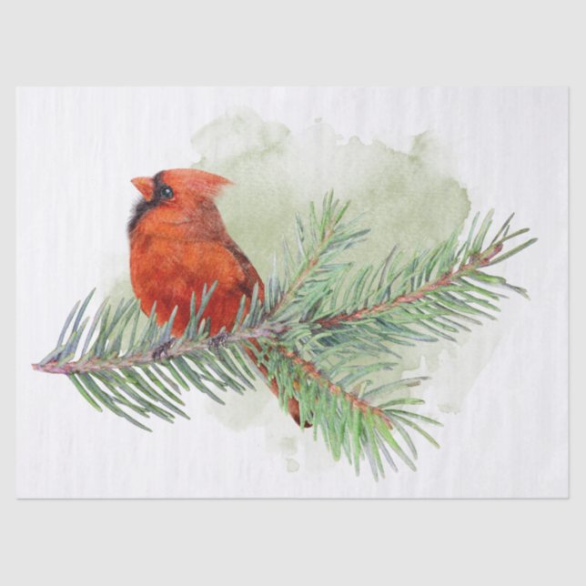 Cardinal and Pine Branches Watercolor Tissue Paper (Front)