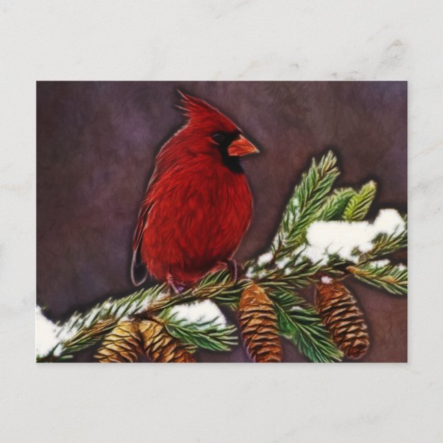 Cardinal and Pinecones Postcard (Front)