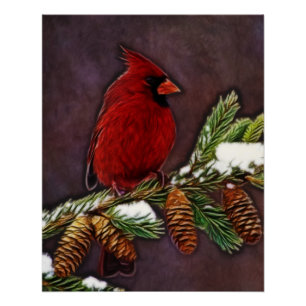 Cardinal and Pinecones Poster