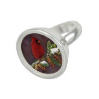 Cardinal and Snowy Pinecones