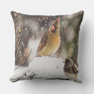 Cardinal And Sparrow In The Snow Outdoor Cushion