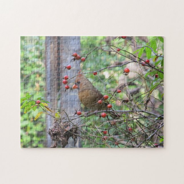 Cardinal at Bird Feeder surrounded by Red Berries Jigsaw Puzzle (Horizontal)