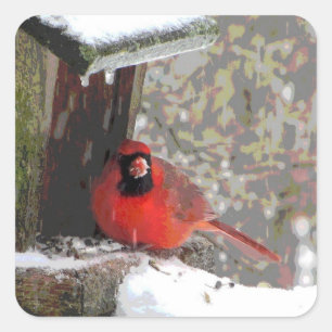 Cardinal at the Feeder Square Sticker