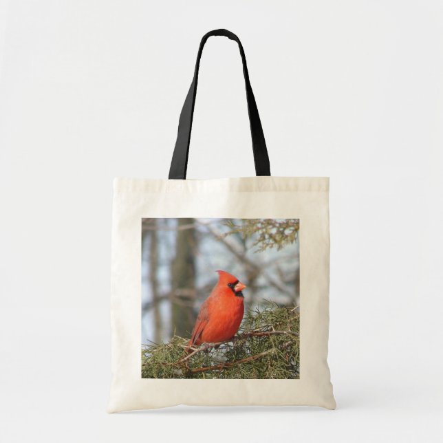 Cardinal Bag (Front)