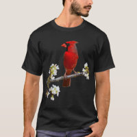 CARDINAL Best HD Northern Cardinal Bird Red Cardin