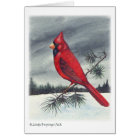 Cardinal Bird