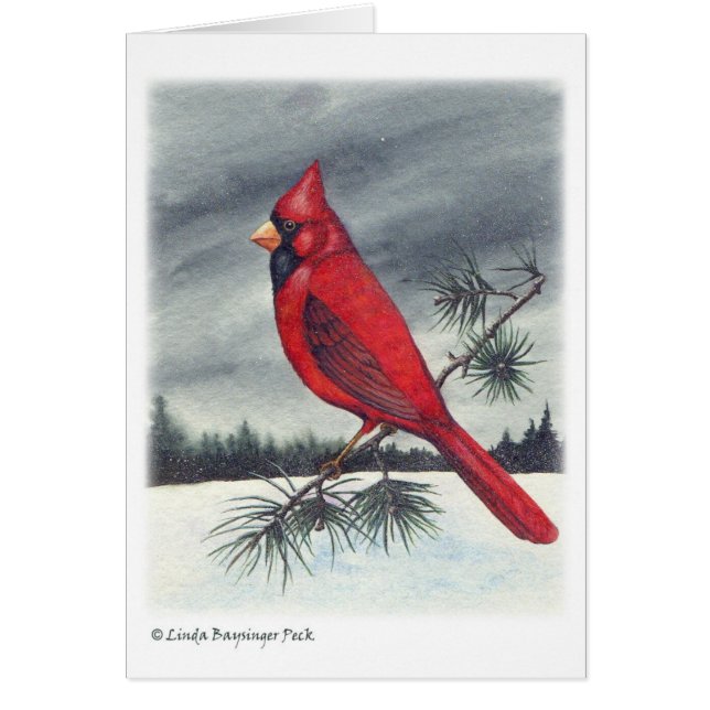 Cardinal Bird (Front)