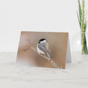 Cardinal Bird in Winter Holiday Card