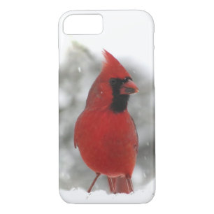 Cardinal Bird iPhone Case
