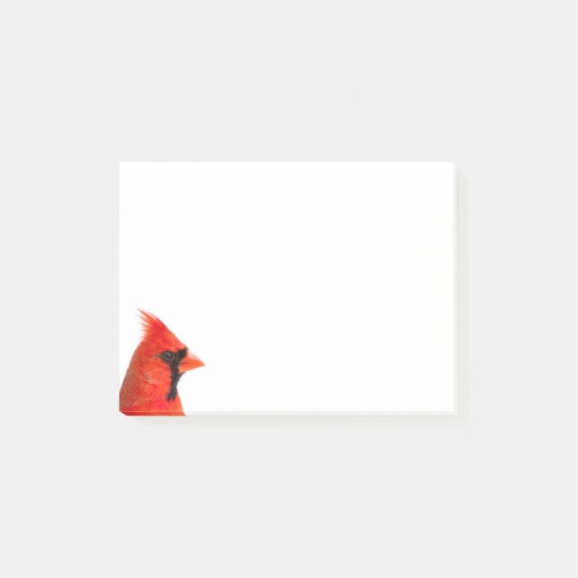 Cardinal Bird Post-it Notes (Front)