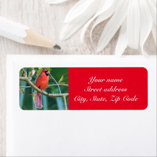 Cardinal bird return address label Personalise