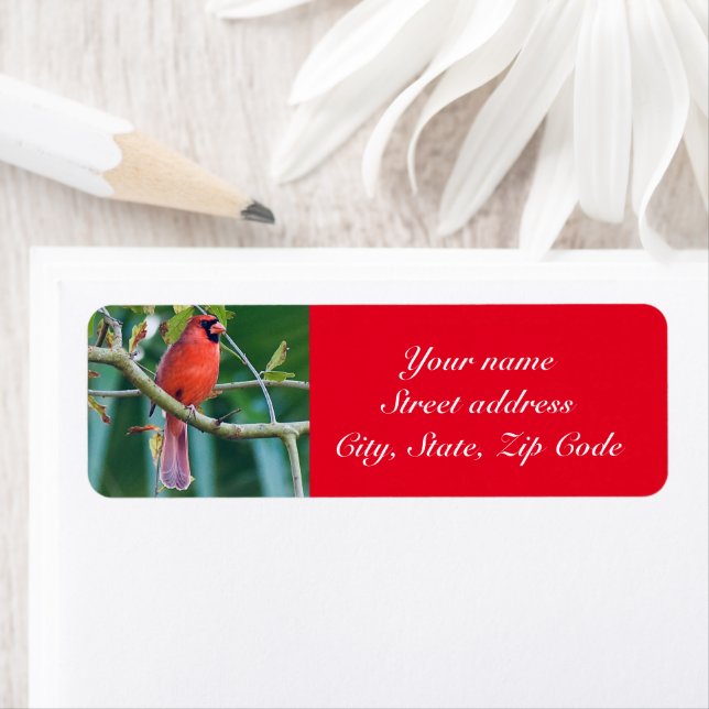 Cardinal bird return address label Personalise (Insitu)