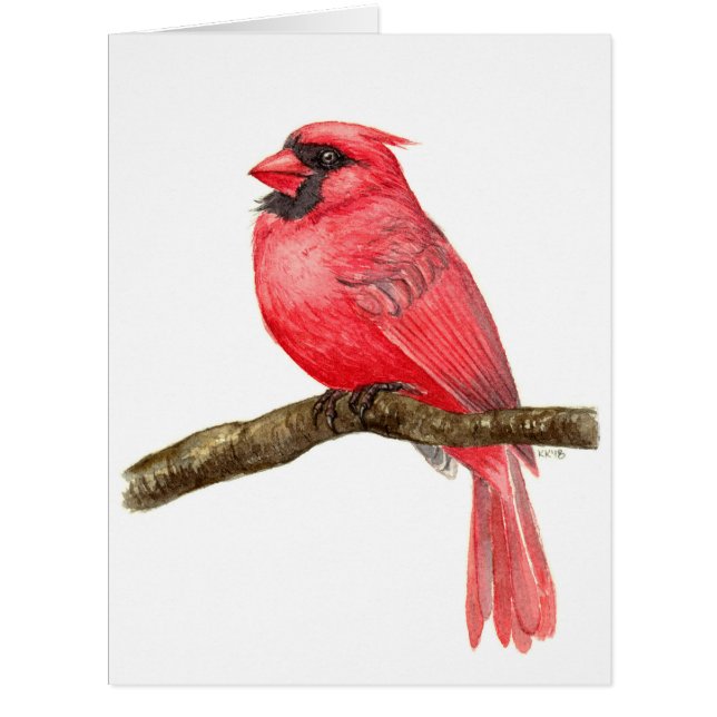 Cardinal bird watercolor (Front)