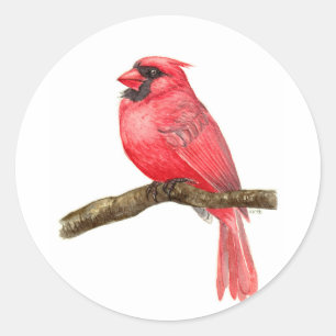 Cardinal bird watercolor classic round sticker