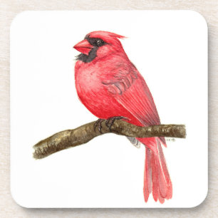 Cardinal bird watercolor coaster