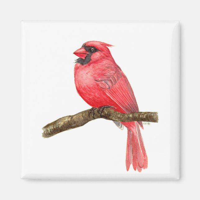 Cardinal bird watercolor magnet (Front)