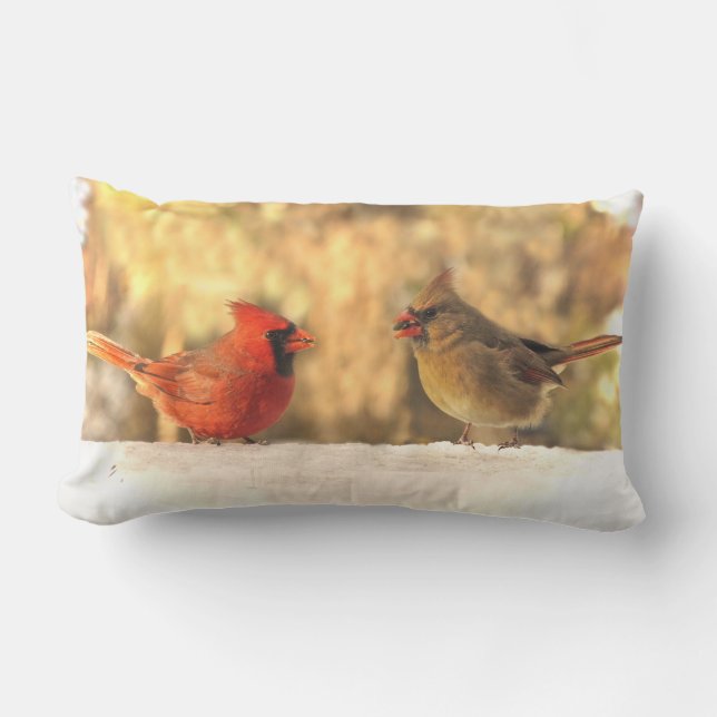 Cardinal Birds in Autumn Animal Outdoor Pillow (Front)