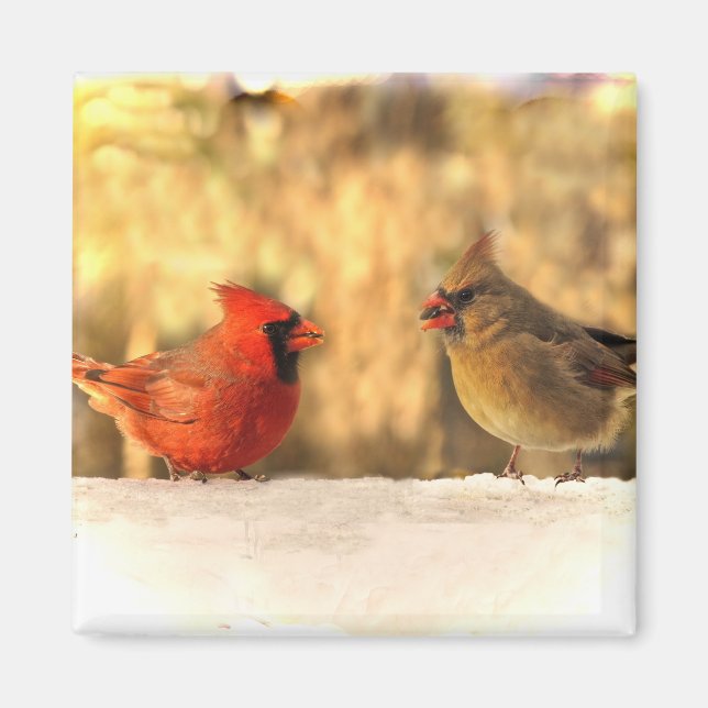 Cardinal Birds in Autumn Magnet (Front)