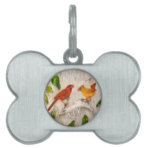 Cardinal birds. Singing of love Pet Tag