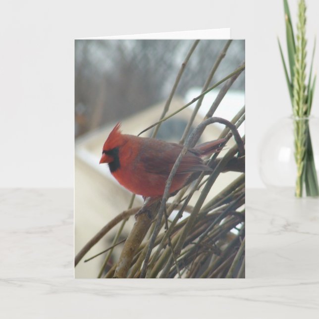 Cardinal Card (Front)