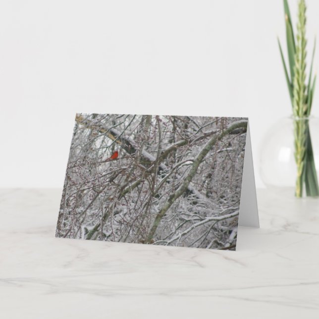 Cardinal Card (Front)