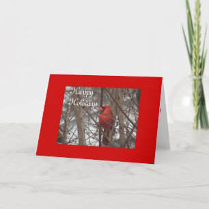Cardinal Card