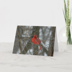 Cardinal Card