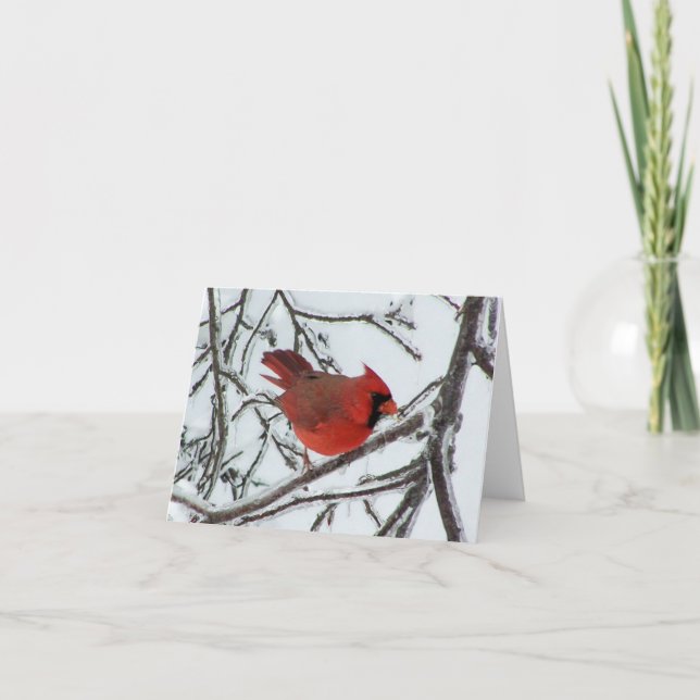 Cardinal Card (Front)