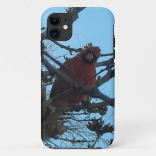 Cardinal iPhone 11 case