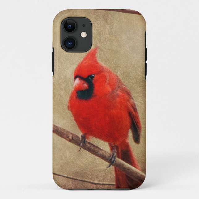 Cardinal Case-Mate iPhone Case (Back)