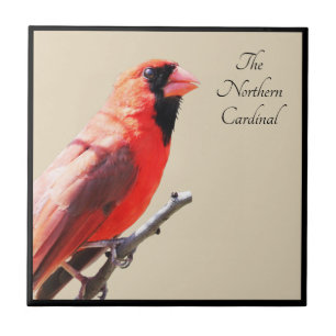 Cardinal Ceramic Tile