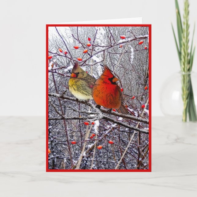 Cardinal Christmas Holiday Card (Front)
