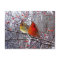 Cardinal Christmas Postcard