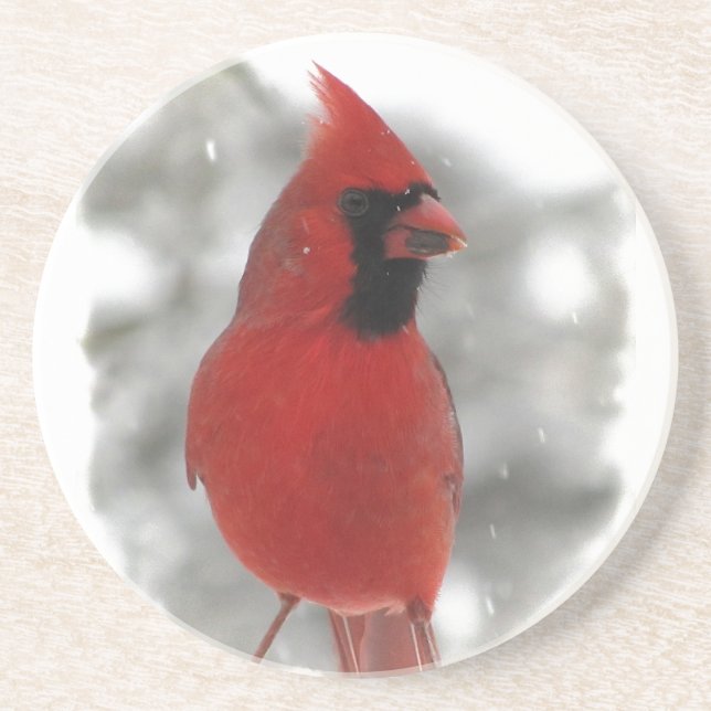 Cardinal Coaster (Front)