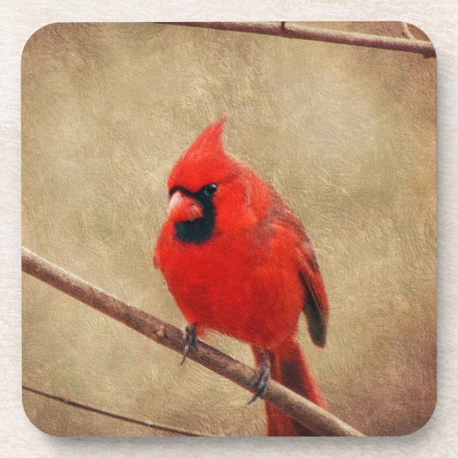 Cardinal Coaster (Front)