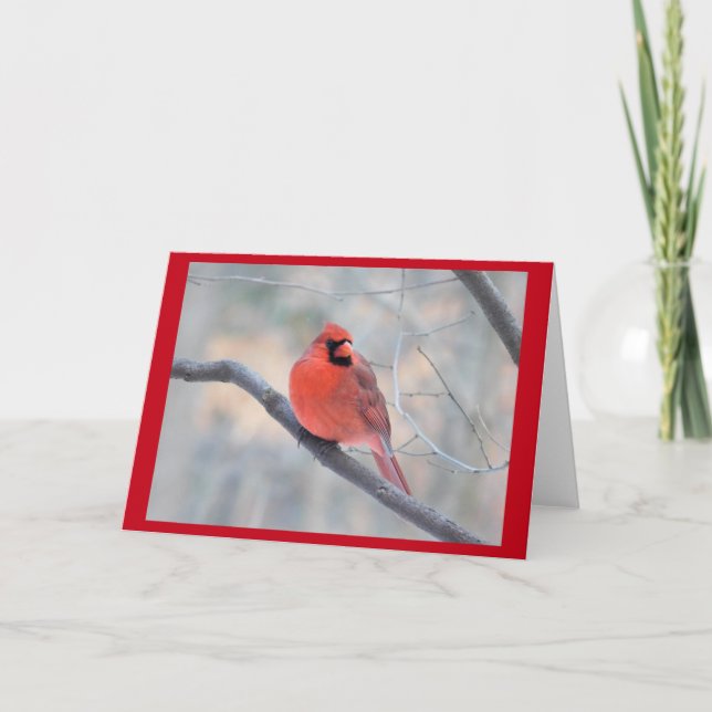 Cardinal Creek Greeting Card (Front)