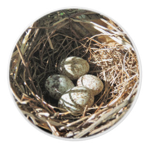 Cardinal Eggs Drawer Knob