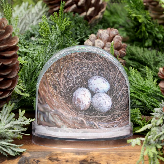 Cardinal Eggs Snow Globe (Winter)