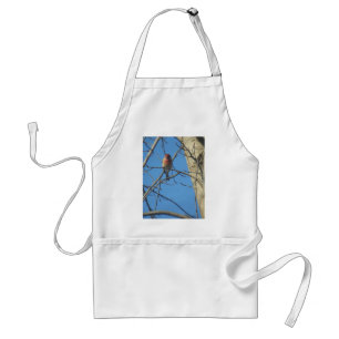 Cardinal Female/Bird Standard Apron