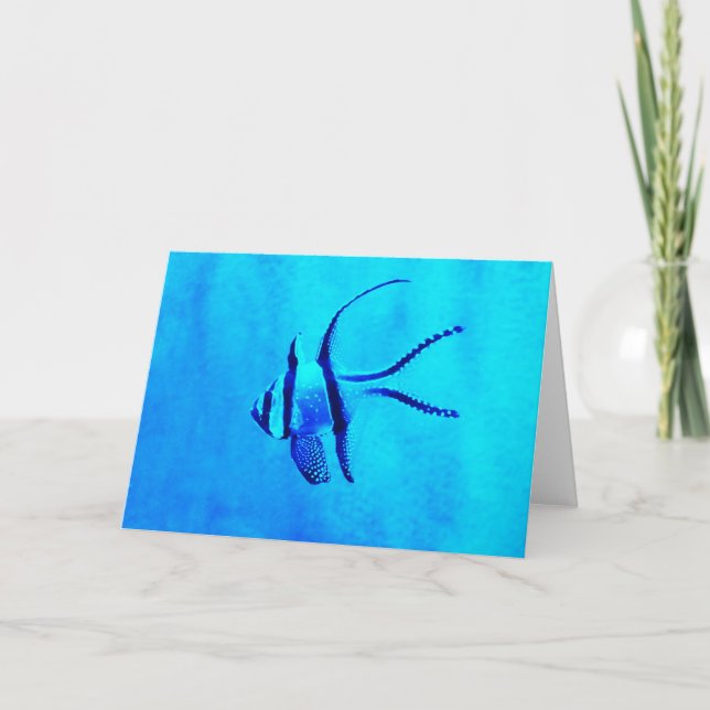 Cardinal fish holiday card (Front)