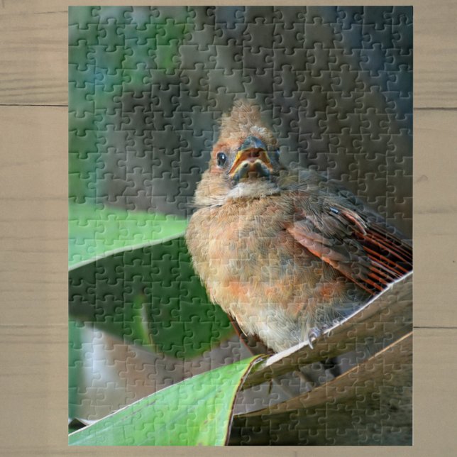 Cardinal Fledgling Baby Bird Photographic Jigsaw Puzzle (Creator Uploaded)
