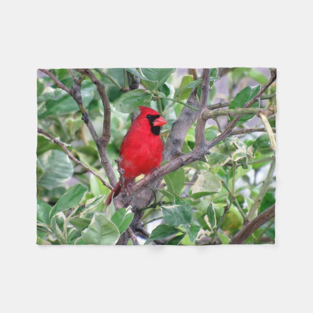 Cardinal Fleece Blanket (Front (Horizontal))