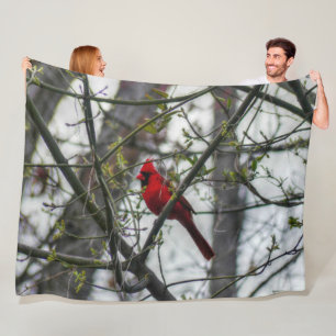 Cardinal Fleece Blanket