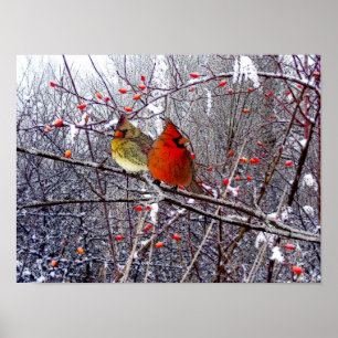 Cardinal Forest Poster