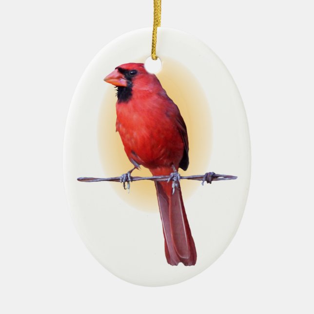 Cardinal Glow Ceramic Tree Decoration (Front)