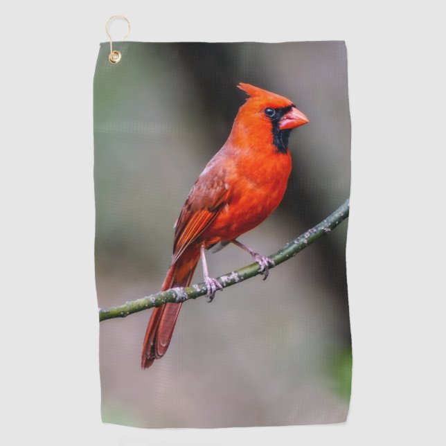 Cardinal Golf Towel (Front)
