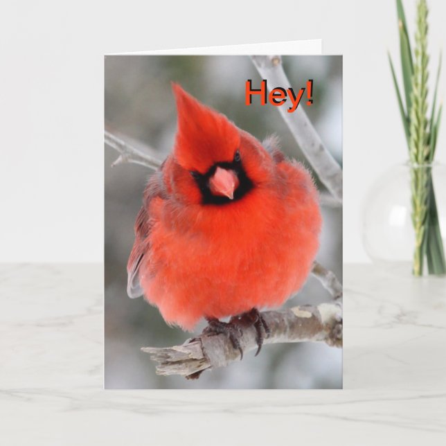 Cardinal Greeting Card 2 (Front)