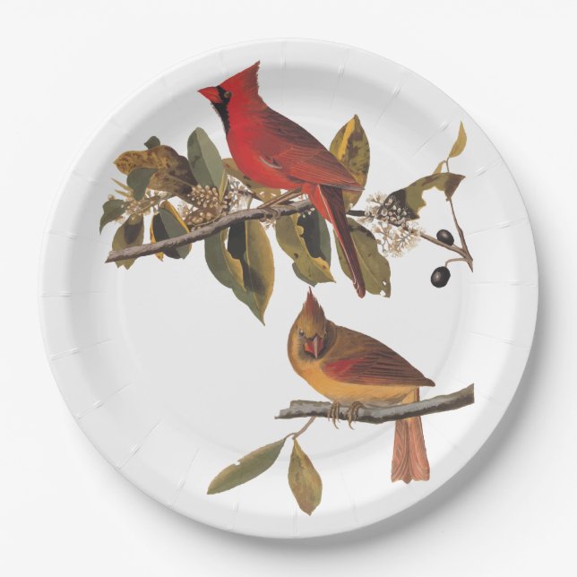 Cardinal Grosbeak Audubon Birds of America Paper Plate (Front)