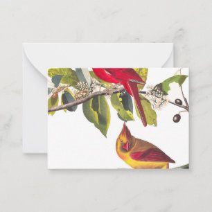 Cardinal Grosbeak by John James Audubon Card